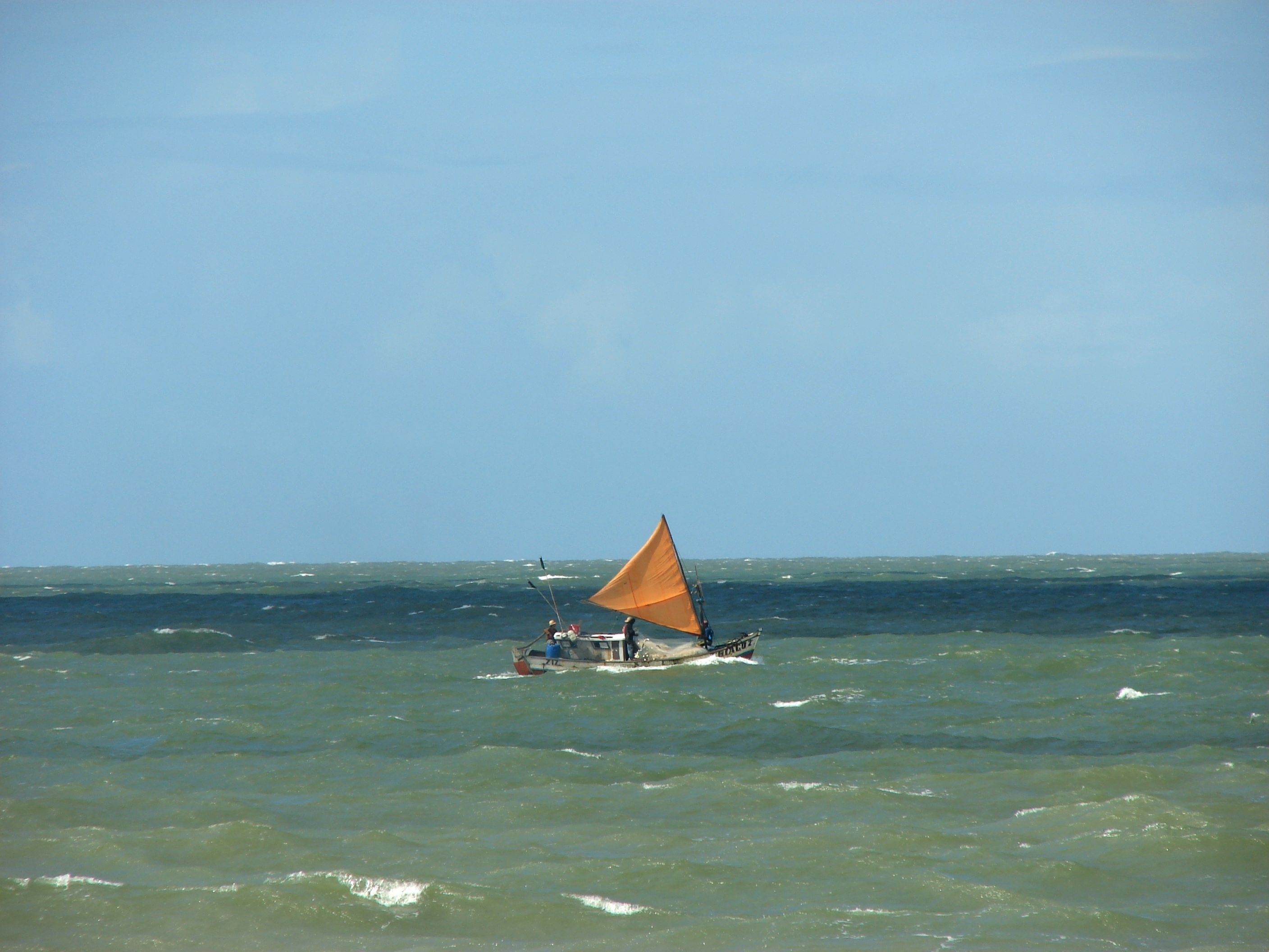 DSC00831