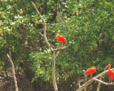 dsc07604