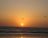 f-dsc00290